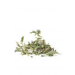 Feuille de Verveine - Tisane de Haute Loire